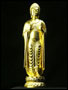 47221-仏教仏像「釈迦如来立像(金色)」